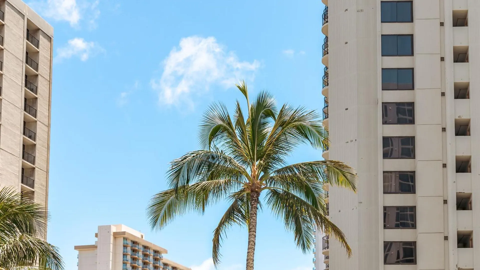 Appartamento Renovated Mountain View Getaway With Free Parking! Honolulu